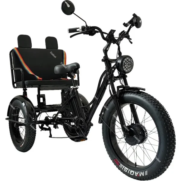 Fat Tire Electric Tricycle Adults With Passengers Elderly With Safe Belt 750W Family Powerful Electric Bicycle For Men 3 Wheels - Image 8
